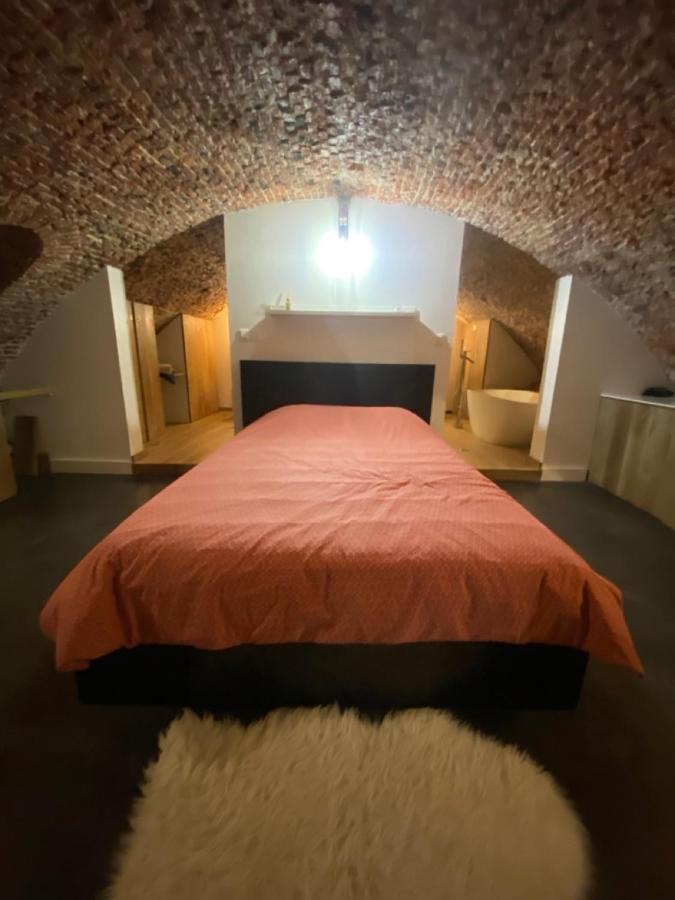Апартаменты Au Beau Lieu De Metz Лилль Экстерьер фото
